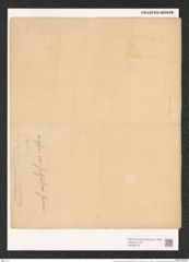 Navicula placentula var. anglica (Ralfs.) Grun. (de-Toni-Nr.: Genus 1, Species 137) Zeichnungen Sammlung Grunow (NHMW-BOT-W0366733)